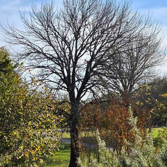 Meet your Posher, Kimberly - Picture 1 of 1